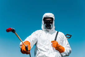 Best Pest Exclusion Services  in Alba, NY